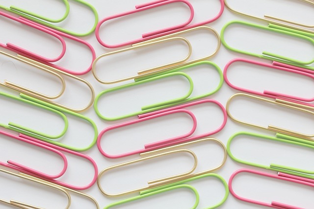 Erfahrungsberichte: Studierende teilen ihre Handelshochschule-Reisen
